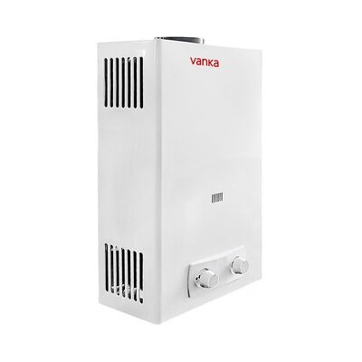 Suministro directo de fábrica Calentador de agua a gas instantáneo tipo chimenea de 10L Venta al por mayor para uso doméstico