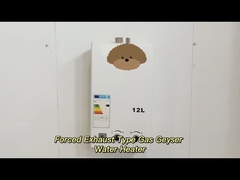 Calentador de agua de gas de escape con ajuste de temperatura digital de alta eficiencia 12L - 24L