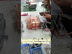 Cocina Calentador de agua de gas interior 12L Calentador de agua caliente constante Ahorro de energía