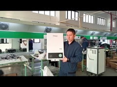 Calificador de agua de gas de combustión de 12L con certificación CE