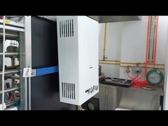 Capacidad de 10L Calentador de agua de gas Sistema de combustión equilibrado Calentamiento rápido